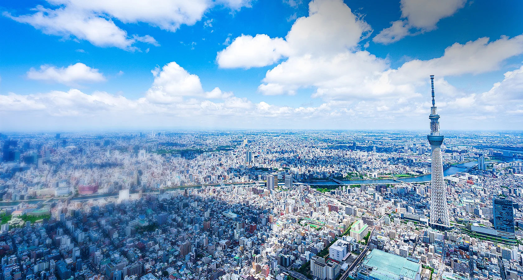資材の力は、未来を変える。